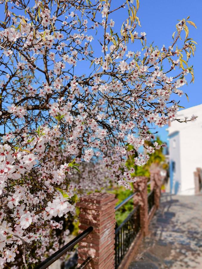 Modern, Bright And Comfortable Apartment With Shared Roof Terrace Canillas de Aceituno Exterior photo